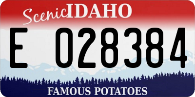 ID license plate E028384