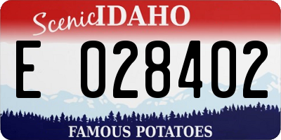 ID license plate E028402