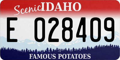 ID license plate E028409