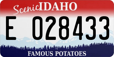 ID license plate E028433