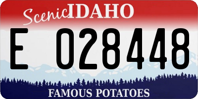 ID license plate E028448