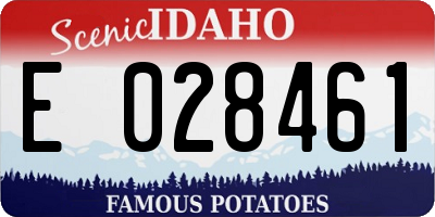 ID license plate E028461