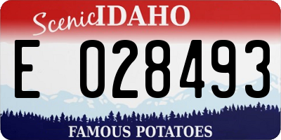 ID license plate E028493