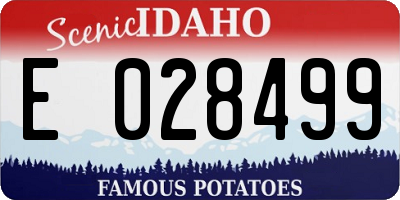 ID license plate E028499