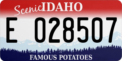 ID license plate E028507