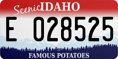 ID license plate E028525