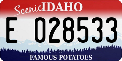 ID license plate E028533