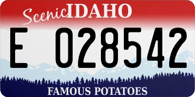 ID license plate E028542