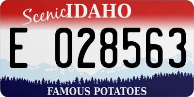ID license plate E028563