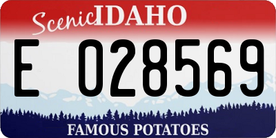 ID license plate E028569