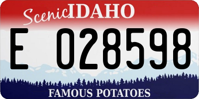 ID license plate E028598