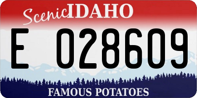 ID license plate E028609