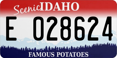ID license plate E028624