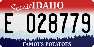 ID license plate E028779