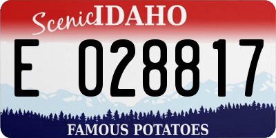 ID license plate E028817