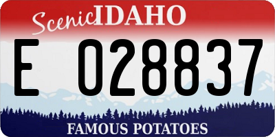 ID license plate E028837