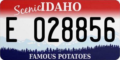 ID license plate E028856