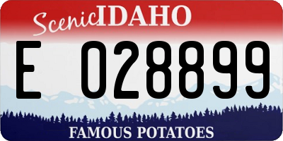 ID license plate E028899