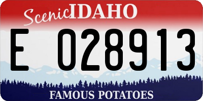 ID license plate E028913