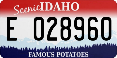 ID license plate E028960