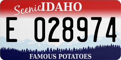 ID license plate E028974
