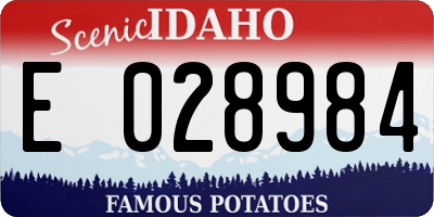 ID license plate E028984