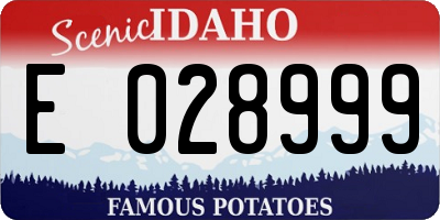 ID license plate E028999