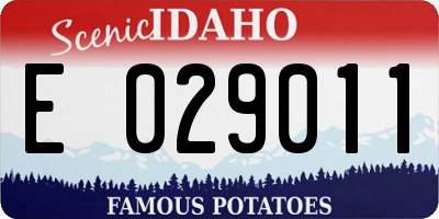 ID license plate E029011