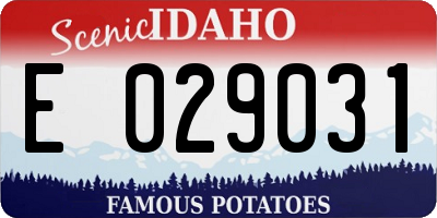 ID license plate E029031