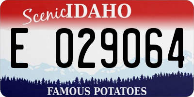 ID license plate E029064
