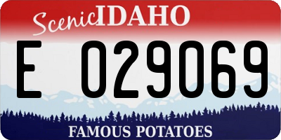 ID license plate E029069
