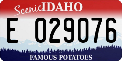 ID license plate E029076