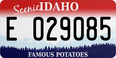 ID license plate E029085
