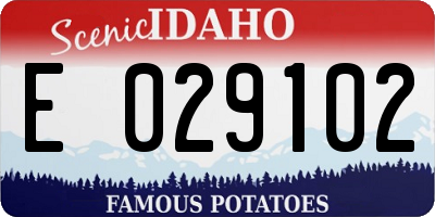 ID license plate E029102