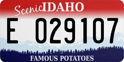 ID license plate E029107