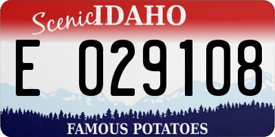 ID license plate E029108