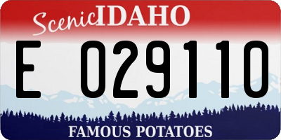 ID license plate E029110