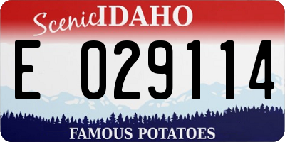 ID license plate E029114