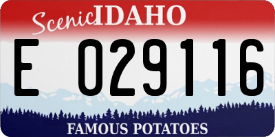 ID license plate E029116