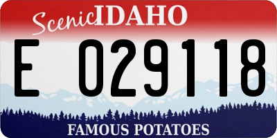 ID license plate E029118