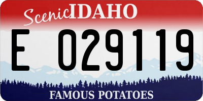 ID license plate E029119