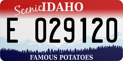 ID license plate E029120