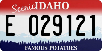 ID license plate E029121