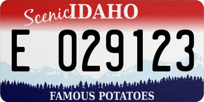 ID license plate E029123