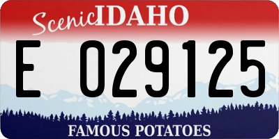 ID license plate E029125