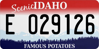ID license plate E029126
