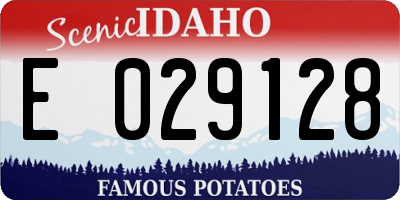 ID license plate E029128