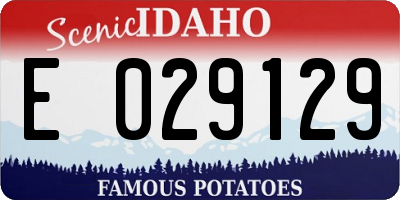 ID license plate E029129