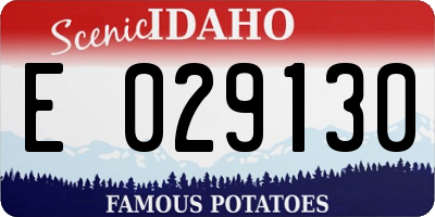 ID license plate E029130