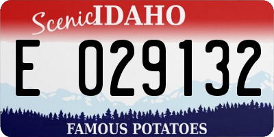 ID license plate E029132